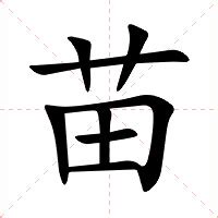 苗的意思|苗（汉语汉字）